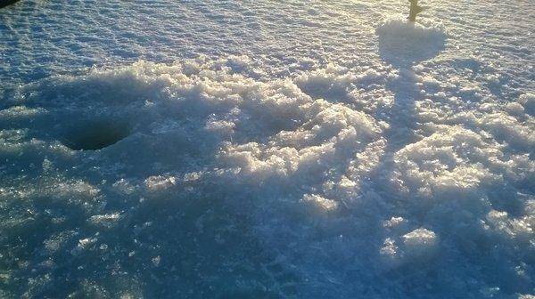 WP_20160326_006.thumb.jpg.c3ec8af4e42890