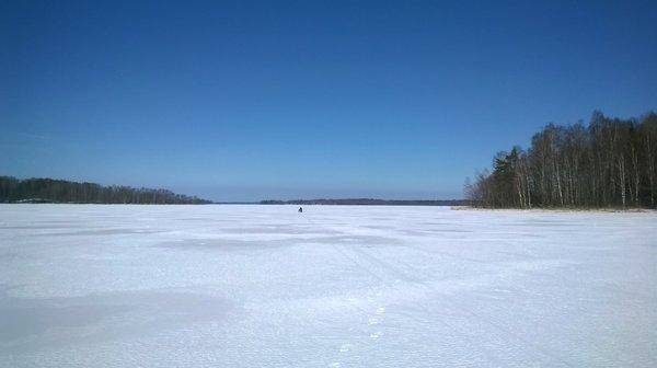 WP_20160326_011.thumb.jpg.a3b6920c508ec8