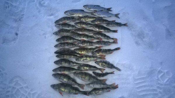 WP_20160326_019.thumb.jpg.05986f8f1f1961