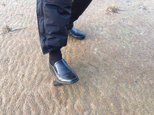 image.thumb.jpg.64c915621aac3d144b865a73