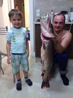 image.thumb.jpg.de687cebfa64b34b64dcaff6