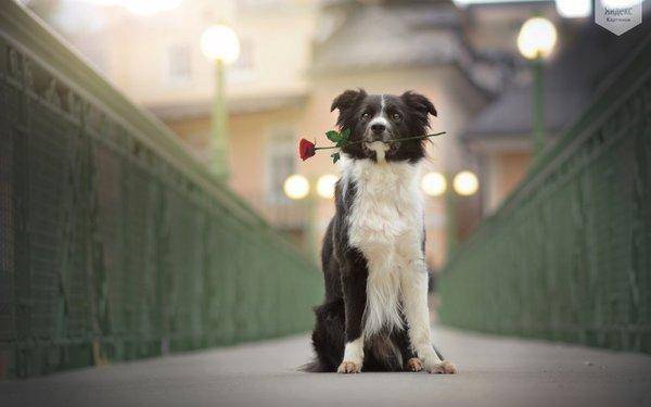 qwwwwww.thumb.jpg.349fb57b346dcbda66b867