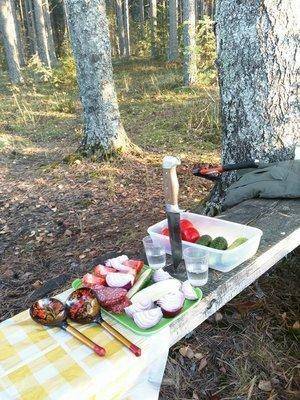 11046263_10205269550247443_6450479956771