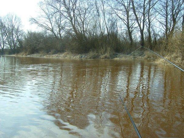 2016-1.3.thumb.JPG.93eef429b2473f5ab12ce