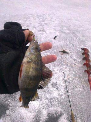 570108c9250c4_3077.thumb.jpg.66878e40985