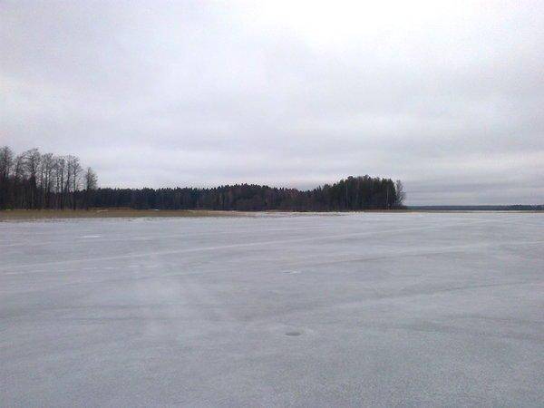 57010a180cd8f_3075.thumb.jpg.be14d35ccc6