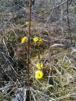 570a460063068_3173.thumb.jpg.d377c34aa35