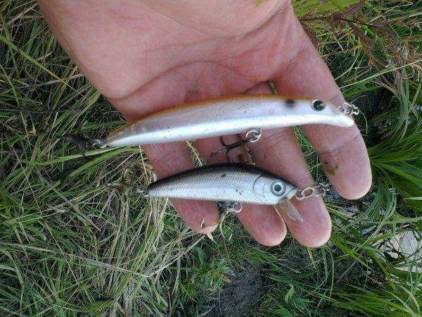 570a5c160694e_0704.thumb.jpg.b7c7329523d