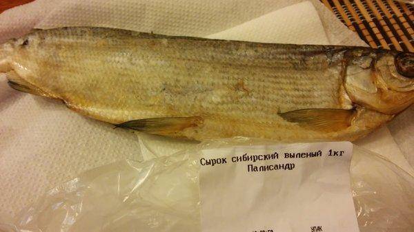 570bed0691024_.thumb.jpg.046fb24bc12e071