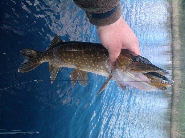 570fe6b899d19_0300.thumb.jpg.02265e572cc