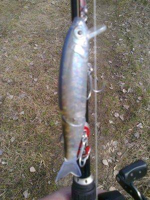 571372d037f45_3177.thumb.jpg.bf26f366ed0