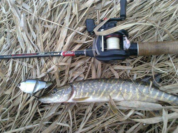 571373e06d16f_3179.thumb.jpg.f894ed7afea