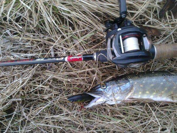 571374be65fd0_3187.thumb.jpg.eb0b88ff064