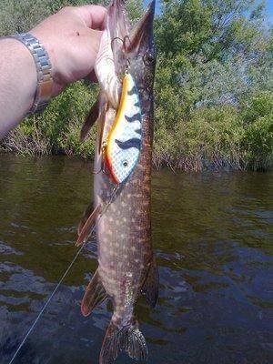 571a83a6dd864_0759.thumb.jpg.2a4d820297c