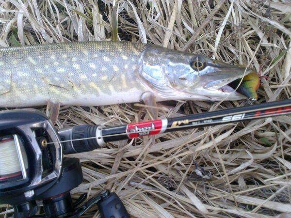 571bcbc0b8ee9_3199.thumb.jpg.626b92ea18d