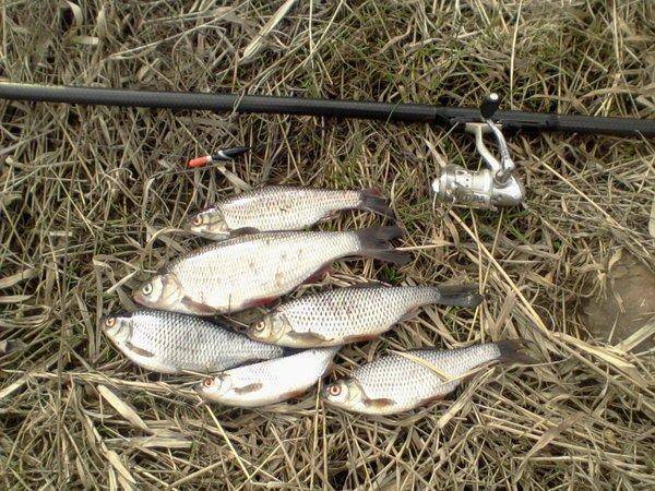 571ccdb160298_-0145.thumb.jpg.3057ce7596