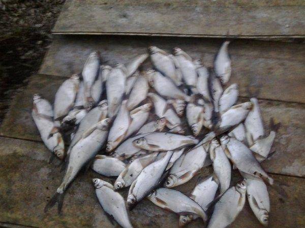 571e50b6b680a_2016-04-2320.40.40.thumb.j