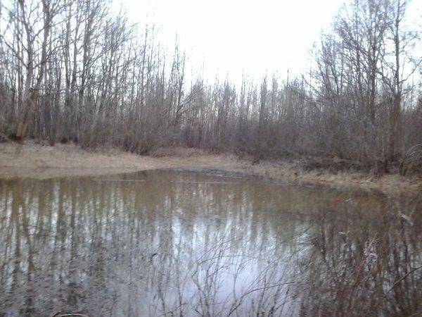 571e5137ad2bb_2016-04-2320.10.50.thumb.j