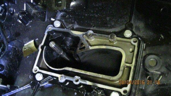 57226352e9533_IMG_67541.thumb.JPG.c7f32b