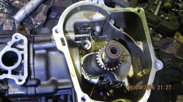 572263edced3f_IMG_67571.thumb.JPG.3f3e26