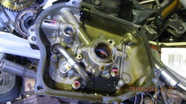 572264280487d_IMG_67581.thumb.JPG.23d6a6