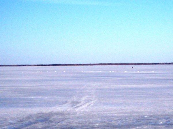 DSC01180.thumb.JPG.c0b8822fd6f913559807c