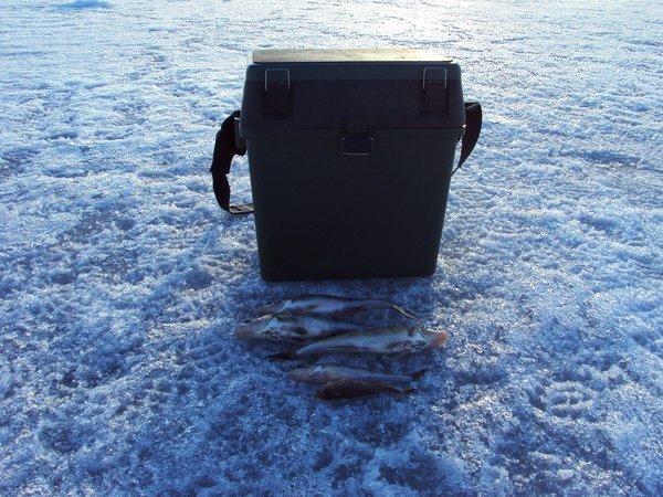 DSC01183.thumb.JPG.c093056f240371b766016