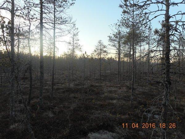 DSCN0251.thumb.JPG.4af6b0b2f31163403fc9c