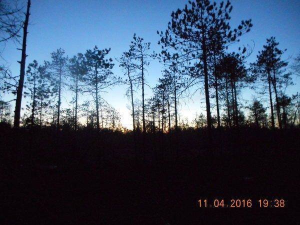 DSCN0260.thumb.JPG.7e8cd8158f1e163b7d733