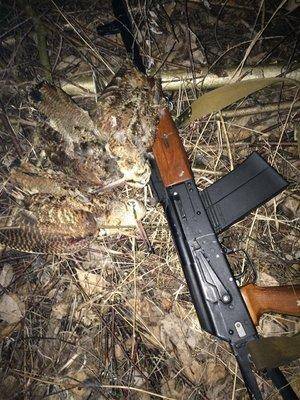 IMG-20160416-WA0001.thumb.jpg.1281bb3700