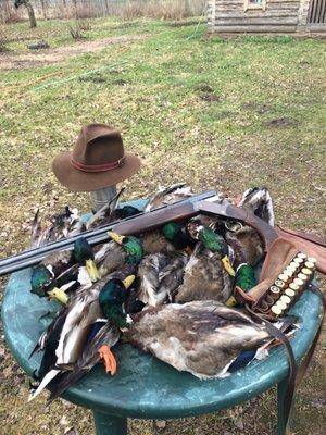 IMG-20160416-WA0004.thumb.jpg.8143136f18