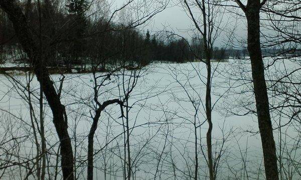 IMG_20160402_110034.thumb.jpg.c1b048777b