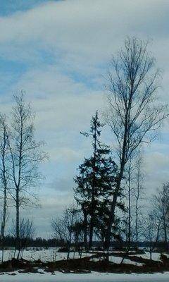 IMG_20160402_160105.thumb.jpg.5677715258