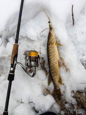 IMG_3908-2.thumb.jpg.170bae8888957d9112d