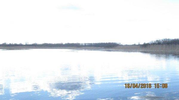 IMG_6722.thumb.JPG.3b67cb95343173fdaf3dd