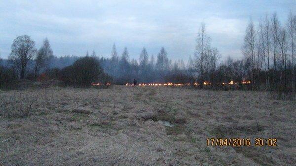 IMG_6724.thumb.JPG.a12c5dbf215595edbdf6f