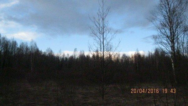 IMG_6726.thumb.JPG.ffe384148ae2dfc9088b8