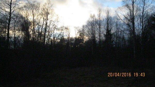 IMG_6727.thumb.JPG.36c3cd06845667d6a1118