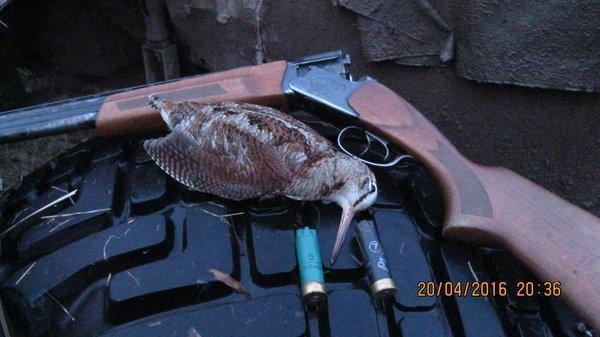 IMG_6728.thumb.JPG.a466d7cc4aaededd905b0