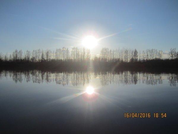 IMG_8757.thumb.JPG.1aae8357adf00851441ef