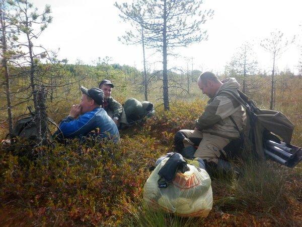 P1010699.thumb.JPG.6347cf93811b231500ddd