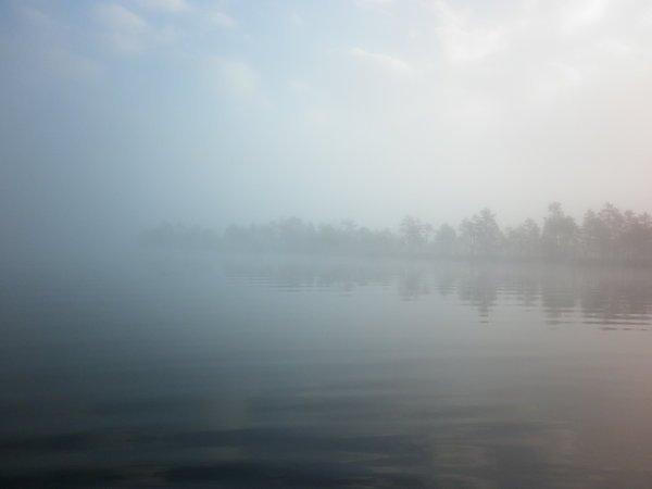 P1010732.thumb.JPG.72e50a96e3839859e6382