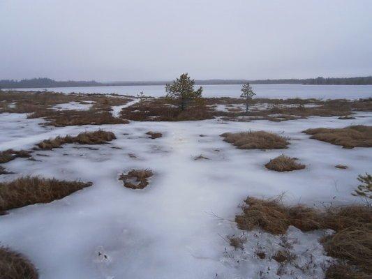 P3200642.thumb.JPG.596857f5a90bc79e5ad97