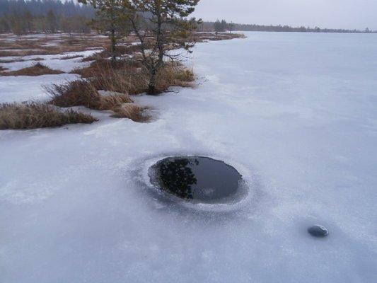 P3200644.thumb.JPG.d3450da0662719f14385b