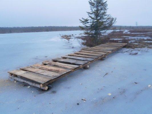 P3200646.thumb.JPG.d7ef3dbfc55fca1108bb5