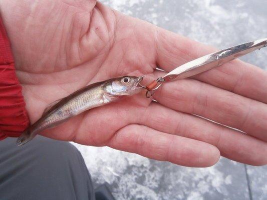 P3210648.thumb.JPG.83d21b60fdb927b45c4e1