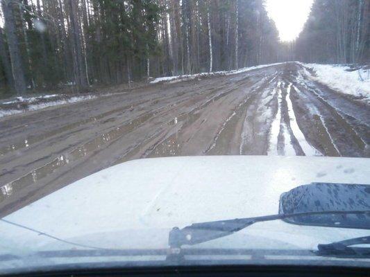 P3230659.thumb.JPG.e5b4ff3137e31d7cf499e