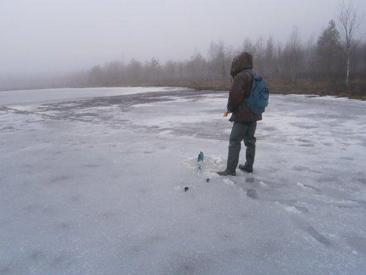 P3280665.thumb.JPG.6d18daedf218c0e218d0a