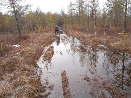 P3280668.thumb.JPG.f922b17b6aaf71a70f00e