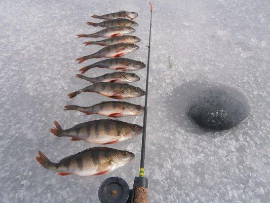 P3280674.thumb.JPG.5c1c4abed0e898b80954b